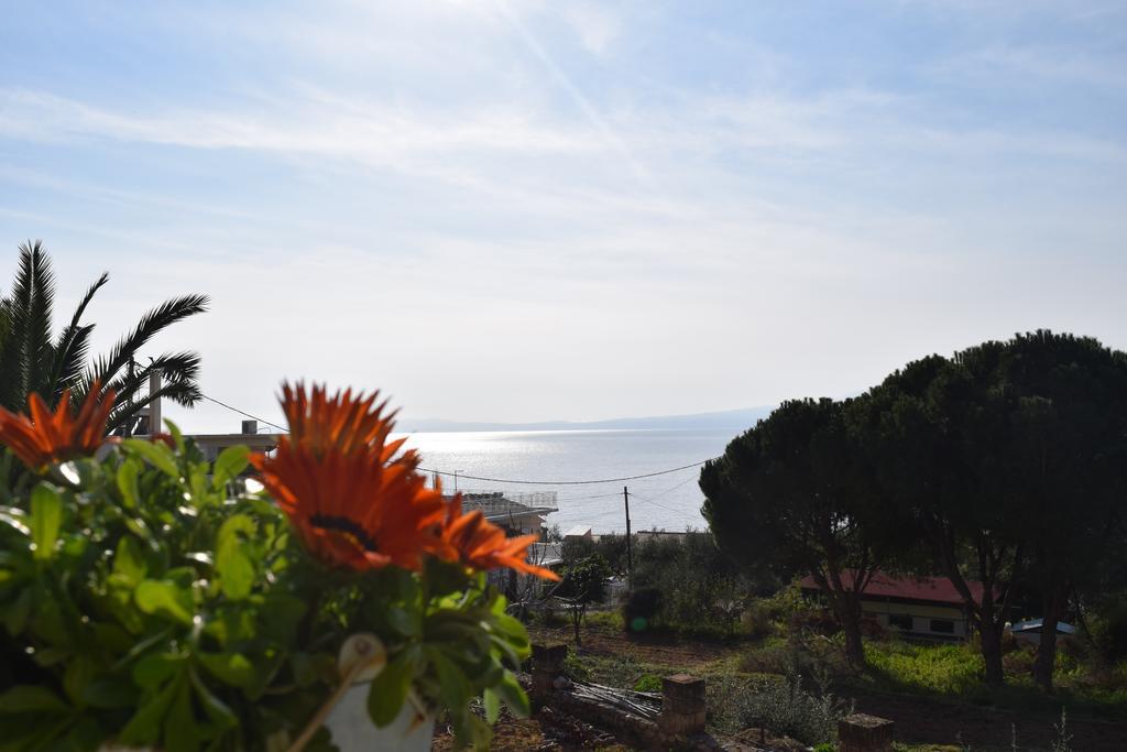 Petra Thea Apartment Kalamata Exterior photo